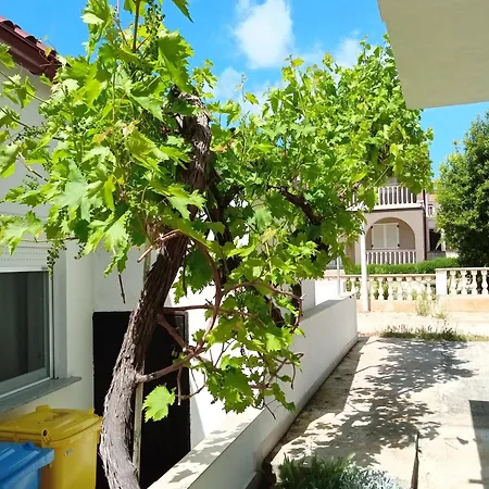 Kata Apartamento Vir